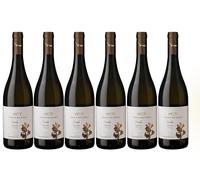 Villa da Vinci Streda Bianco Toscana IGT 2024 75cl - Vino Bianco Italiano 12,5% Vol - Fresco, Fruttato e Minerale - Eleganza Toscana dalle Cantine Leonardo da Vinci (6 bottiglie)