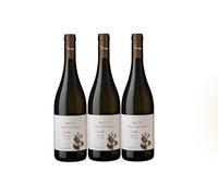 Villa da Vinci Streda Bianco Toscana IGT 2024 75cl - Vino Bianco Italiano 12,5% Vol - Fresco, Fruttato e Minerale - Eleganza Toscana dalle Cantine Leonardo da Vinci (3 bottiglie)