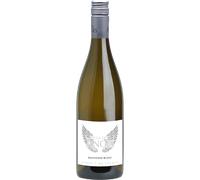 Villa des Anges - Sauvignon Blanc 2024 - Jeff Carrel Vin de France