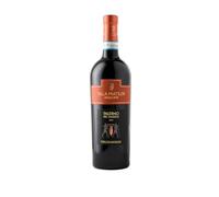 Villa Matilde Falerno del Massico Rosso DOC 2020 0,75 ℓ