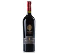 Villa Matilde Stregamora 2022, Piedirosso Roccamonfina IGP, Vino Rosso Campania, 13% vol, 750 ml