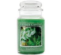 Village Candle 106326818 Eucalyptus Mint Grande Vaso, Vetro, Verde, 9.7 x 9.5 x 11.4 cm