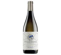 Villanova Friuli Isonzo DOC Sauvignon 2024 0,75 ℓ