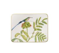 Villeroy & Boch Amazonia Piatto Tazza Caffe, Porcellana Bone China, Multicolore, 17x14x8.807 cm