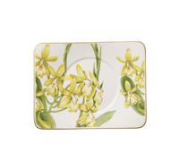 Villeroy & Boch Amazonia Piattino Tazza Te, Porcellana Bone China, Multicolore, 17x14x8.807 cm