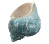 VILLFUL Conchiglia Naturale Mediterranea Specimen per Decorazione Oceanica Artigianato Spiaggia e Acquario Design Marina da Tavolo per Casa e Ufficio