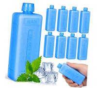 VILLFUL Freezer Ice Packs, Ice Packs for Cooler, 10 Pezzi, PE Blu, Raffreddamento Rapido e Portatile per Camping e Condizionatore d'Aria