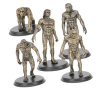 VILLFUL Modelli di Uomo Scimmia in Plastica per Giochi Educativi e Cognitivi per Kit Didattico di Evoluzione Umana per Ragazzi e Ragazze Giocattoli Scientifici per Sviluppo della