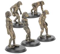 VILLFUL Modelli Uomo Scimmia Giocattoli Educativi Per Ragazzo Ragazza Sussidi Didattici Per Evoluzione Umana Decorazioni Tavolo Di Accessori Modello Pianeti