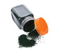 VILLFUL Polvere Terreno Sponge per Modelli Polvere Albero Miniatura Realistica per Scenari Fairy Garden Scatter per Diorami e Plastici