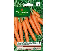 Vilmorin 3193142 migliorato Nantes seme di carota Pack 3 razza Tam