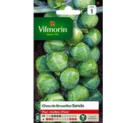 Vilmorin 3334841 - Gufo Verde, 90 x 2 x 140 cm