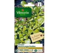 Vilmorin 3875042 - Portasapepe dorato, 90 x 2 x 140 cm, colore: Verde