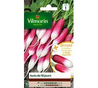 Vilmorin 3882041 Radis, Rosso, 90 x 2 x 160 cm