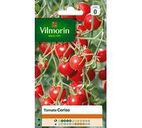 Vilmorin 3974040 Pomodoro Ciliegino, Rosso, 90 x 2 x 160 cm