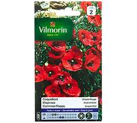 Vilmorin 5241442 - Papavero semplice, rosso, 90 x 2 x 160 mm