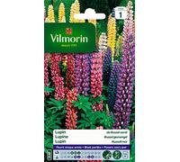 Vilmorin 5345741 Lupin di Russel varia, 9 x 0,5 x 16 cm, multicolore