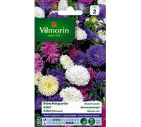 Vilmorin 5703442 - Regina Margherita, Multicolore, 90 x 2 x 160 cm