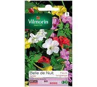 Vilmorin - Bella di notte varia