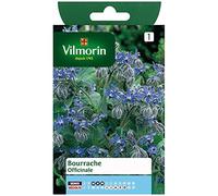 Vilmorin - Borragine Officinale