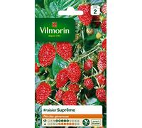Vilmorin - Bustina semi Fragola con 4 stagioni Supremi