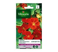 VILMORIN Capucine de lobb spit fire rouge