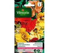 VILMORIN Capucine Diamant variée double naine