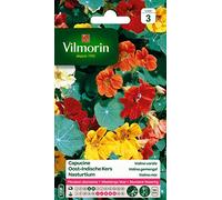 VILMORIN Capucine Valina variée