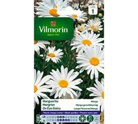 Vilmorin - Confezione grande di semi di margherita Margo