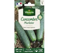 Vilmorin - Pacchetto di semi di cetriolo Marketer