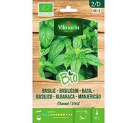 Vilmorin Semi Basilico Grand Vert Bio Eco