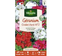 Vilmorin - Semi Geranio Cricket Multi