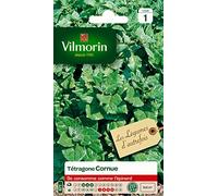 Vilmorin - Tetragono cornuto- Verdura di un tempo - Si consuma come uno spinaci - resistente al Calore e alla siccità - ideale per le regioni calde - Crescita rapida - resa 2 x 2 m
