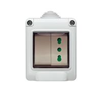 Vimar 0T14902.DBP Plana Contenitore IP55, Deviatore 16 AX 250 V, Illuminabile, Bpresa SICURY 2P+T 16 A 250 V, Standard Italiano Tipo P17/11, IP55, Installazione a Parete, Bianco
