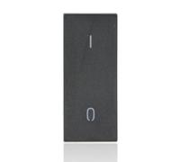 Interruttore 2P 20AX basculante nero - VIW 30016.G
