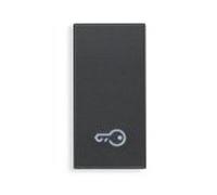 Vimar Serie Eikon - Tasto 1 modulo simbolo chiave grigio