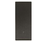 Vimar Spa VIW 30032.LG INVERTITORE 1P 10AX BASC. + LED NERO