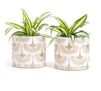 Vimin Box Coppia di Vasi in Terracotta, decorati a mano, BIANCO e ORO, per Piante e Fiori, Decorazione Casa, Diametro 11cm - 11cm (Bianco/Oro, 2x S)