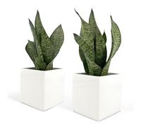 Vimin Box Set 2 pcs, Vasi Quadrati in Ceramica, per Interni, Bianchi, per Piante Grasse, Fiori, Bonsai, Cactus, Decorazione Casa, Scrivania, Tavolo, Ufficio. (M - 10x10cm)