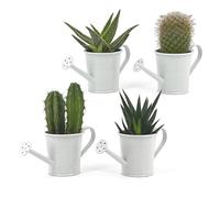 Vimin Box Set 4 pcs, Mini Annaffiatoio, Vaso Decorativo, per Piante Grasse, Piccoli Fiori, Decorazione Casa, Giardino, Balcone