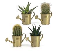 Vimin Box Set 4 pcs, Mini Annaffiatoio, Vaso Decorativo, per Piante Grasse, Piccoli Fiori, Decorazione Casa, Giardino, Balcone