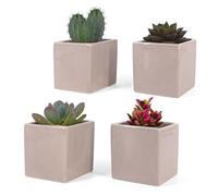 Vimin Box Set 4 pcs, Vasi Quadrati in Ceramica, per Interni, Grigio Tortora, per Piante Grasse, Fiori, Bonsai, Cactus, Decorazione Casa, Scrivania, Tavolo, Ufficio. (XS tortora)