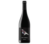 Viña Zorzal Graciano Navarra DO 2023 0,75 ℓ
