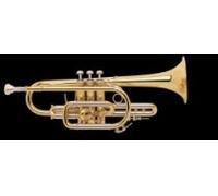 Vincent Bach Prodotto per la pulizia e la cura del trombone BACH CORNET OFT 181L