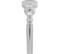 Vincent Bach Prodotto per la pulizia e la cura del trombone (S6513C4)