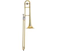 Vincent Bach TB200S BACH Prodotto per la pulizia e la cura del trombone