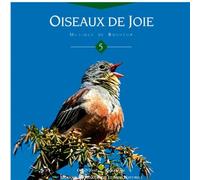 Vincent Bruley - Oiseaux De Joie