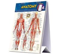 Vincent Perez Anatomy Easel (Anello, filo)