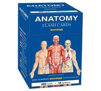 Vincent Perez Anatomy Flash Cards (300 Cards) (Cards)