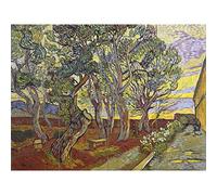 Vincent Van Gogh The Garden Of Saint Pauls Hospital XL Giant Panel Poster (8 Sections) Giardino Santo Paolo Manifesto